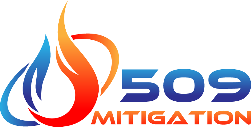 logo | 509 Mitigation