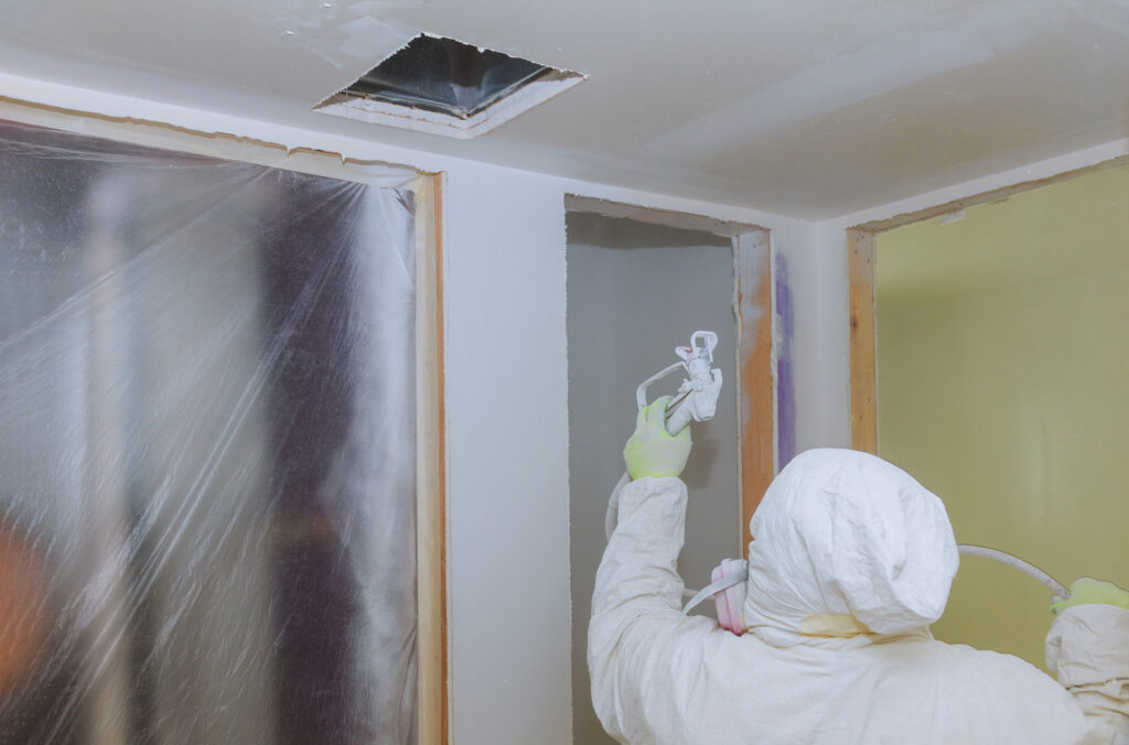 Mold Remediation | 509 Mitigation