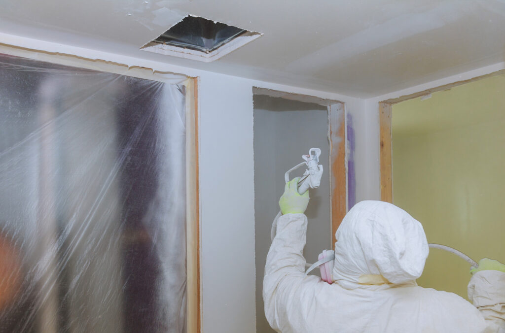 Mold Remediation | 509 Mitigation